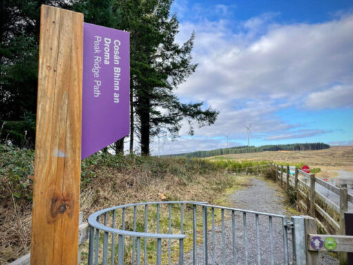 Galway Wind Park purple trail