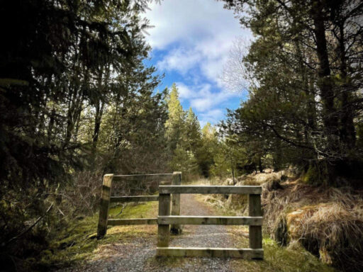 Galway Wind Way cycle path