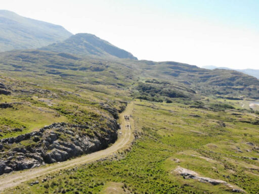 Valley Trail