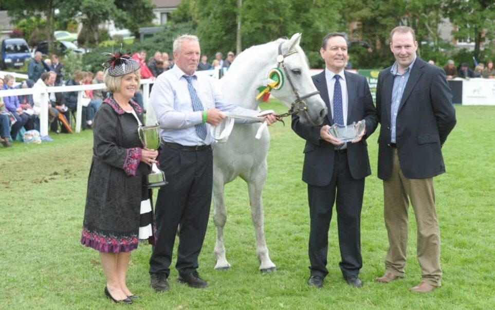 Connemara Pony Festival Clifden