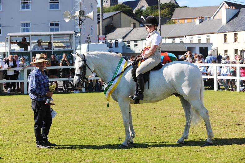 Connemara Pony Festival Galway