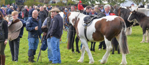 Ballinasloe horse Fair