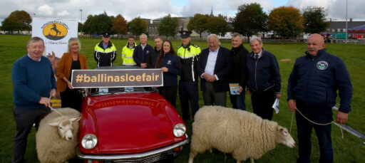 Ballinasloe horse Fair