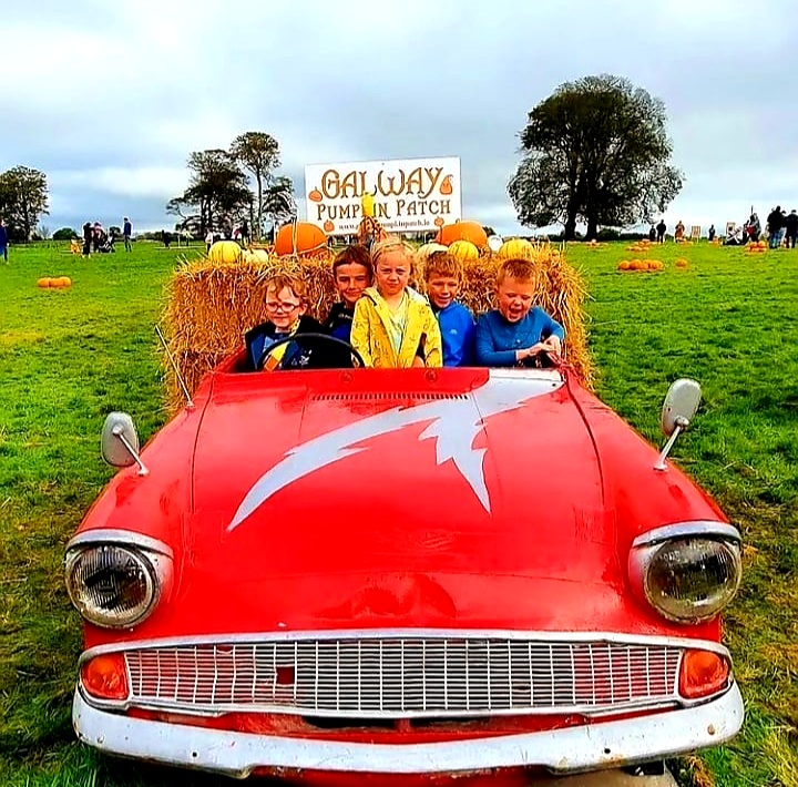 Galway Pumpkin Patch