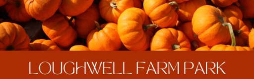 Pumpkin Patch at Loughwell Farm Park