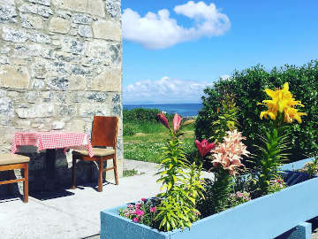 The Seaweed Café