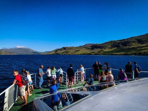 Killary Fjord Cruises