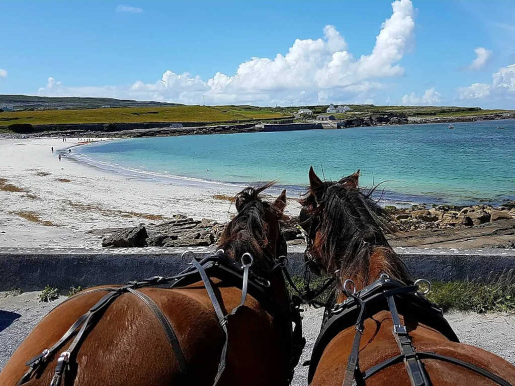 Aran Pony Trap Tours