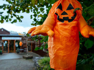 Halloween at Brigits Garden
