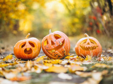 Halloween at Turoe Pet Farm