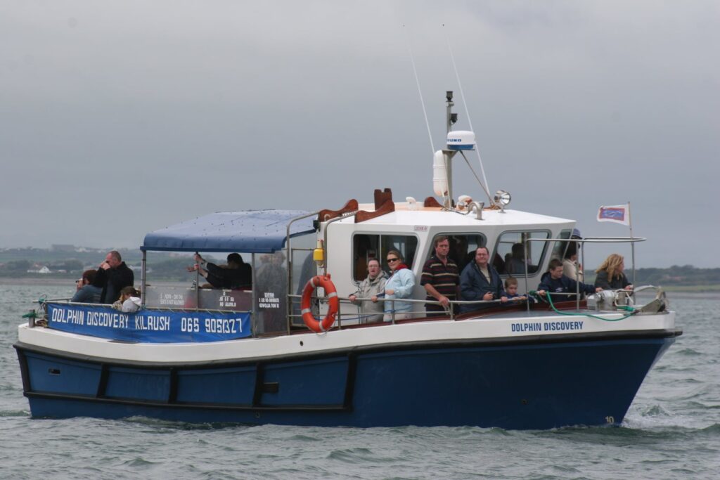 dolphin discovery tours