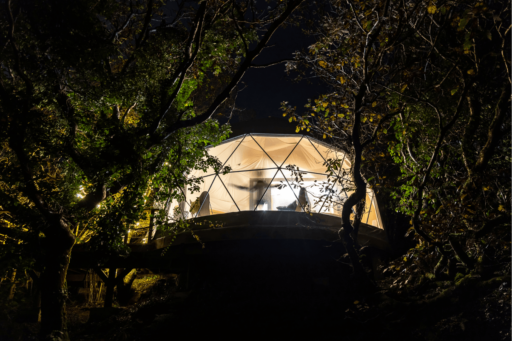 fernwood dome