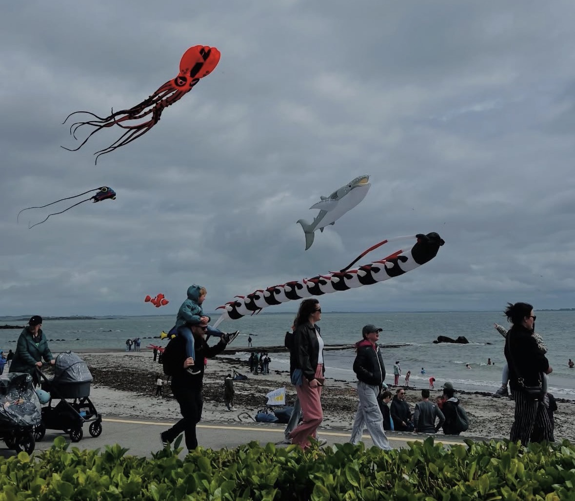salthill-kite-festival-2027-event-in-galway-ireland