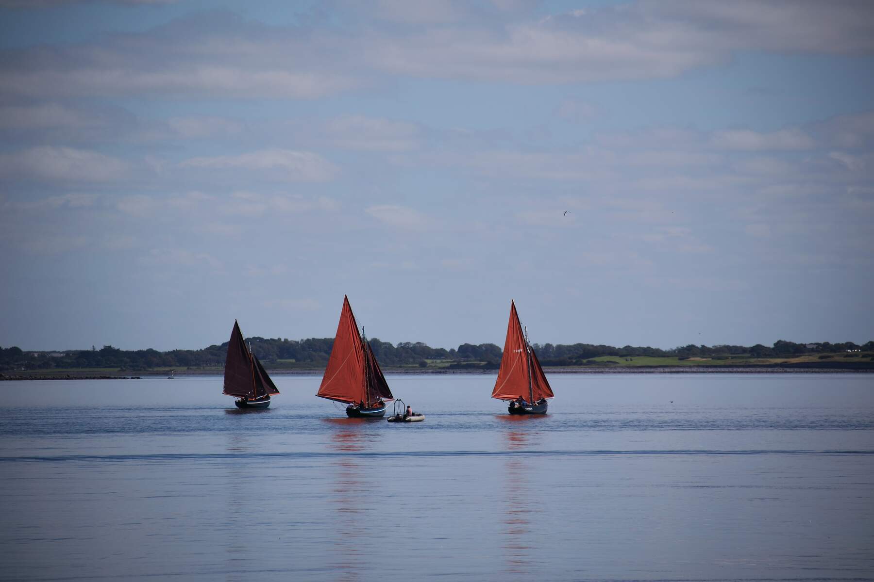 Cruinniu na mBad