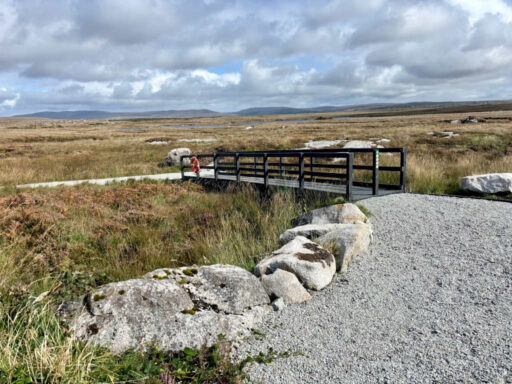 Bog Trail bridge