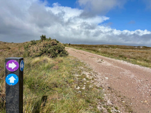 Seana Mhach Bog Trail