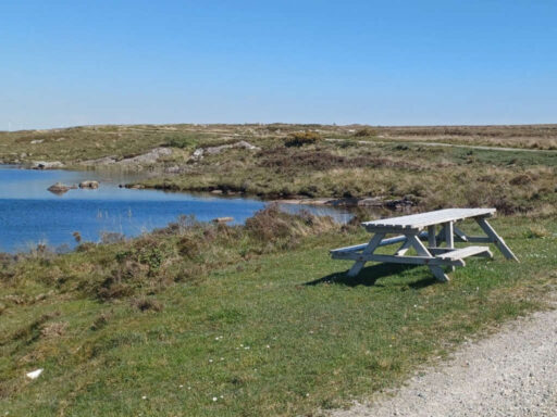 Bog Trail picnic site