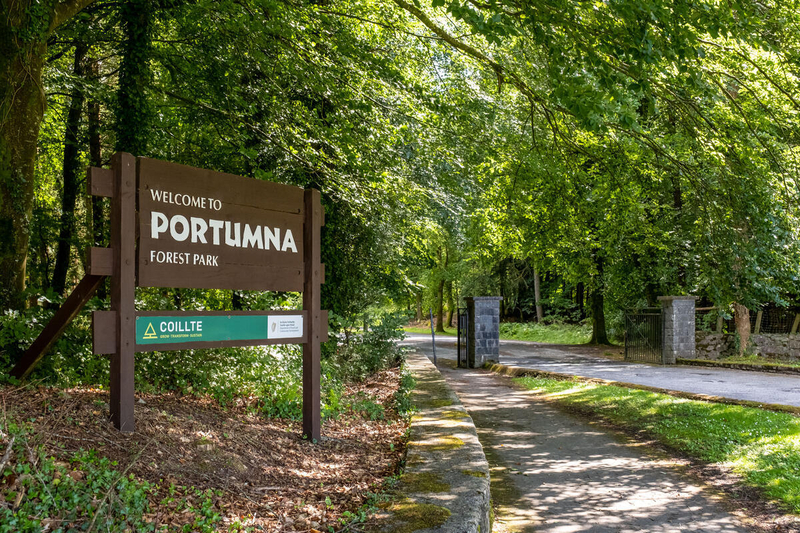 Portumna Forest Park