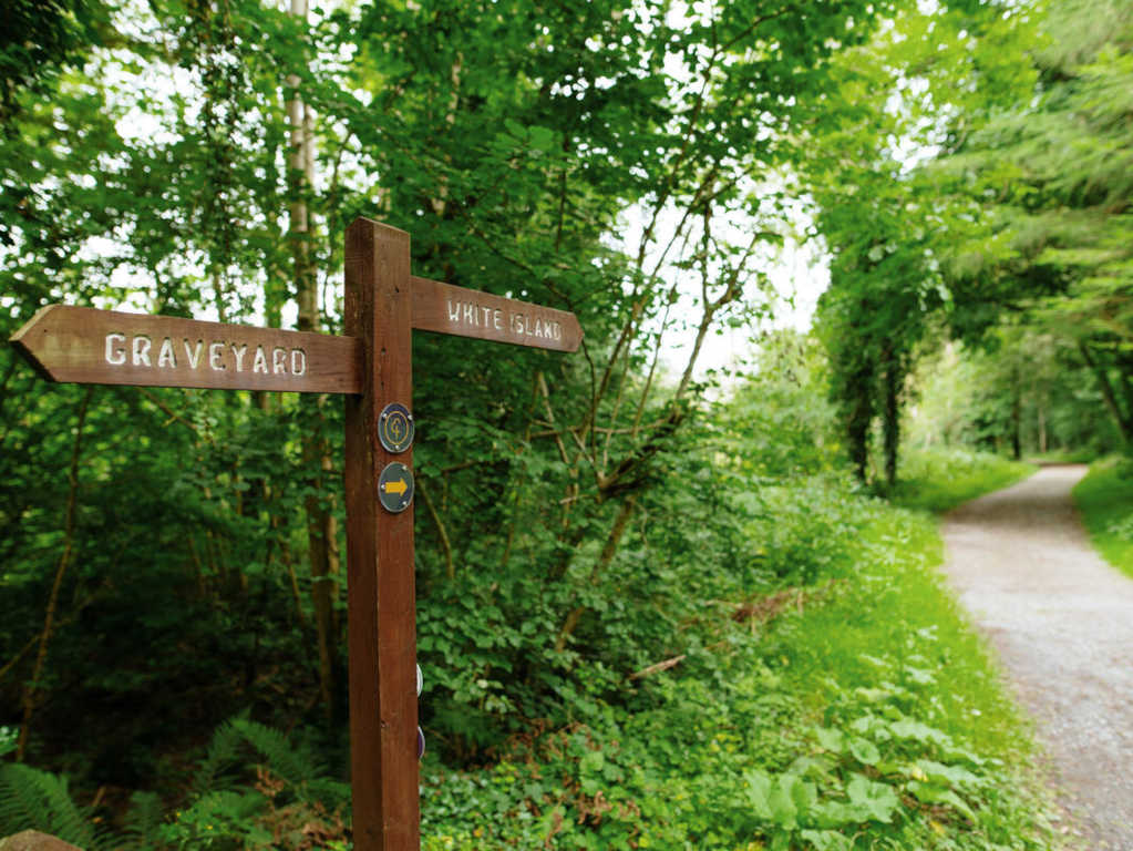 Clonbur Woods