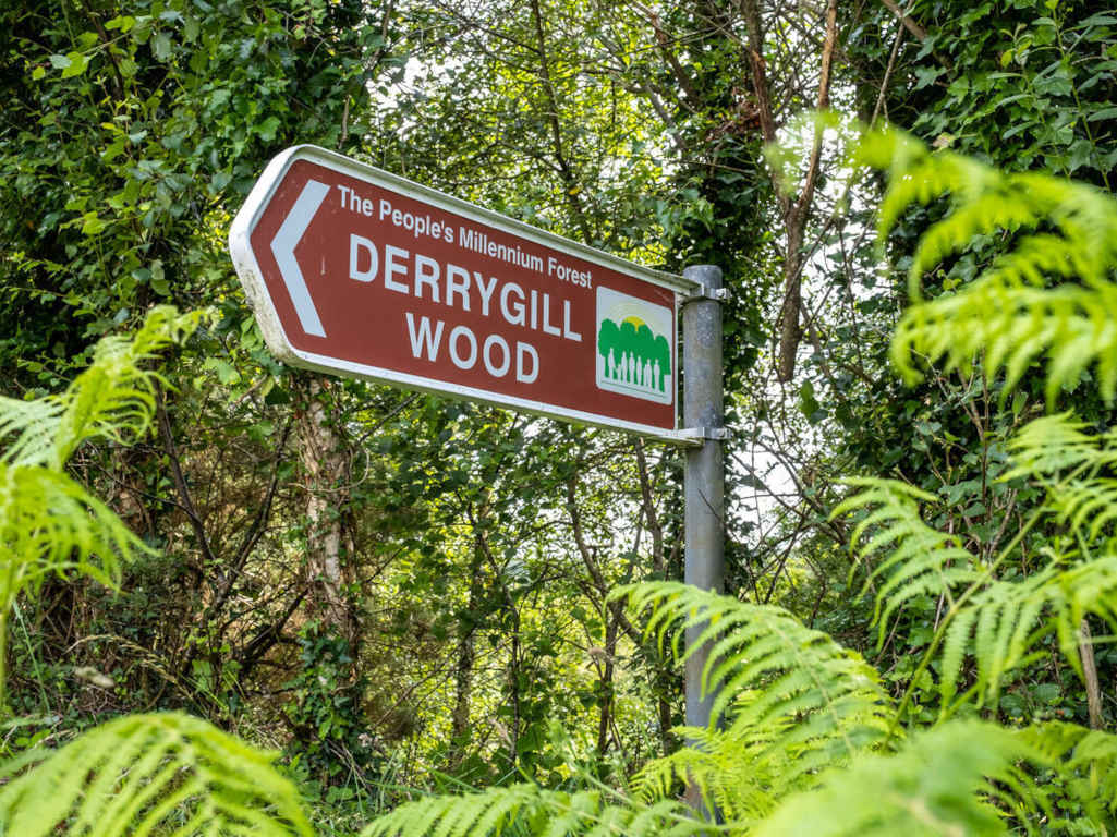 Woodford Forest Park Galway