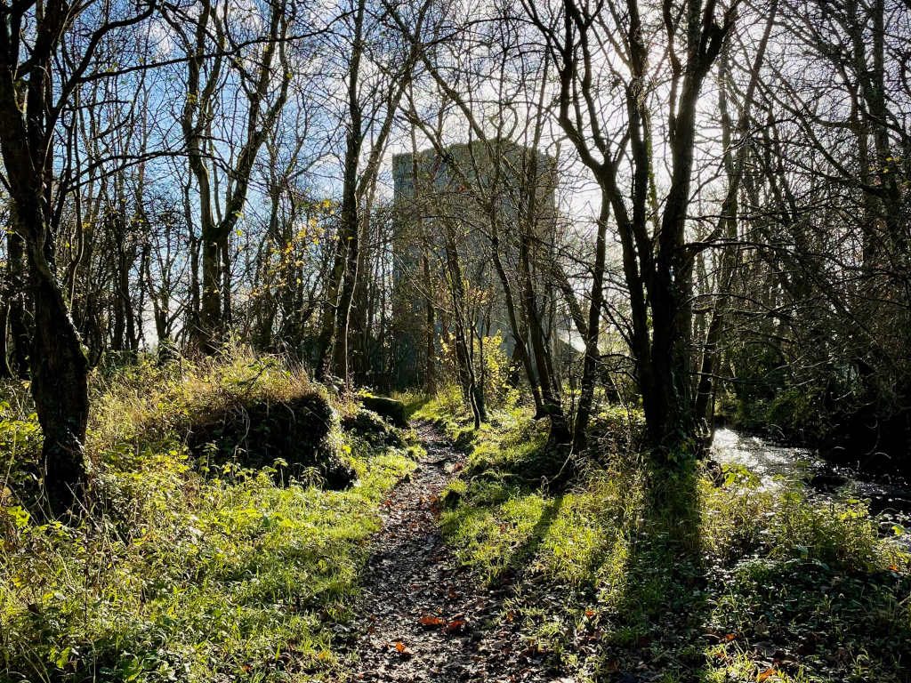 Dunsandle Woods