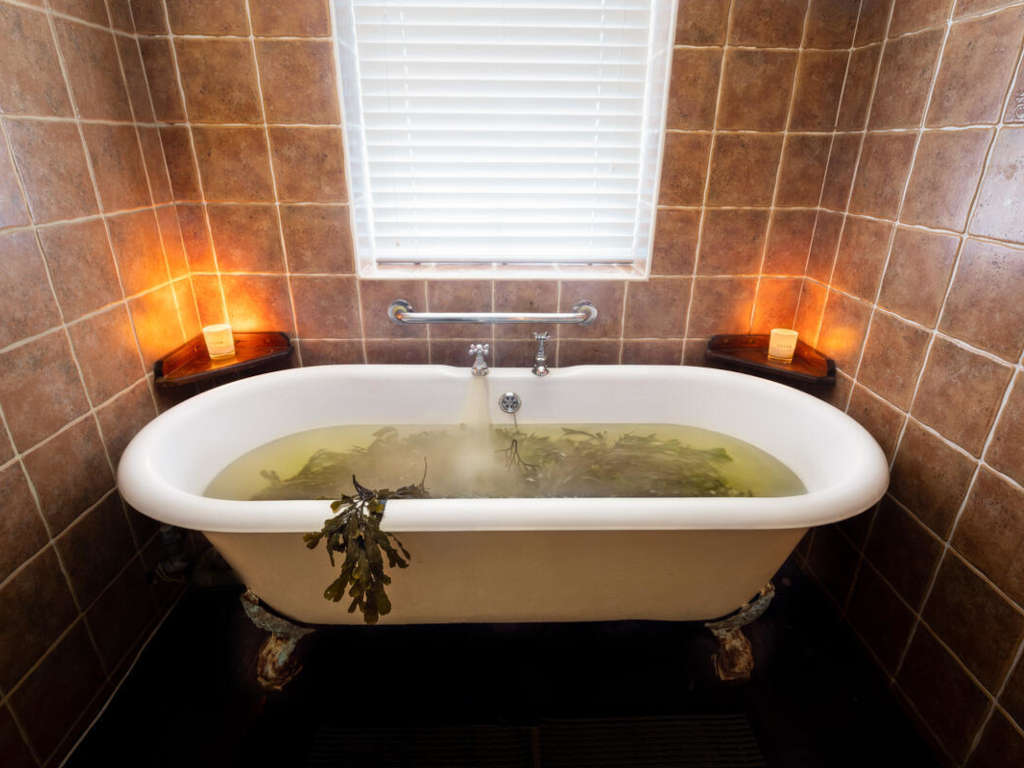 Seaweed Bath