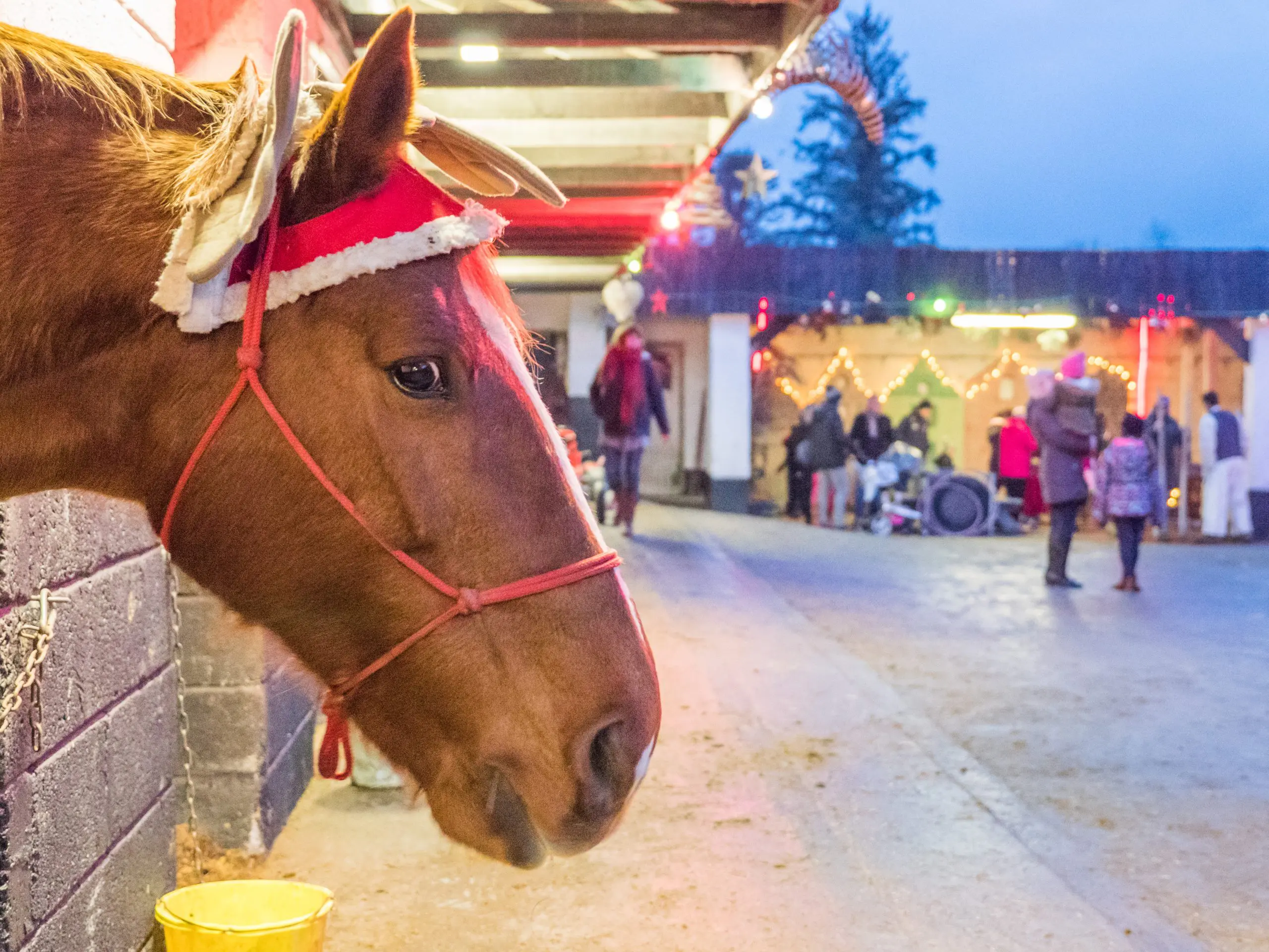 sliabh aughty christmas market