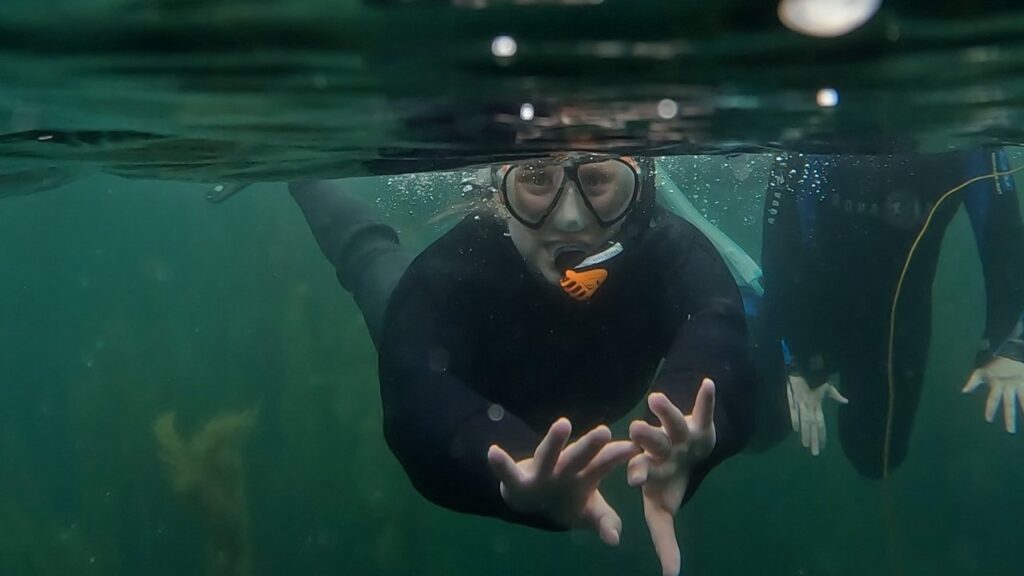 connemara dive centre