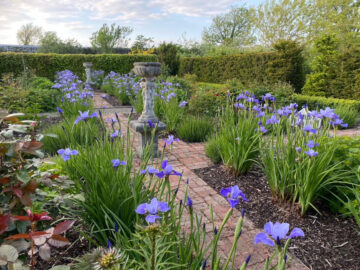 duras house and garden kinvara